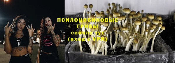 метадон Алексин