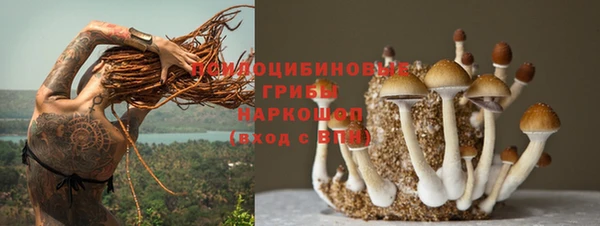 метадон Алексин